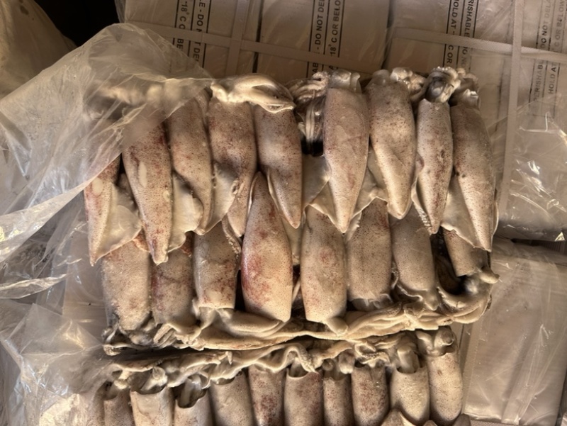 鱿鱼正鱿厚肉鱿鱼3/66/103/U路冻