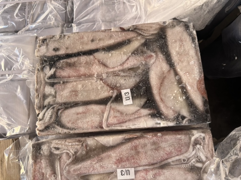 鱿鱼正鱿厚肉鱿鱼3/66/103/U路冻