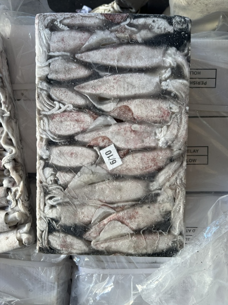 鱿鱼正鱿厚肉鱿鱼3/66/103/U路冻