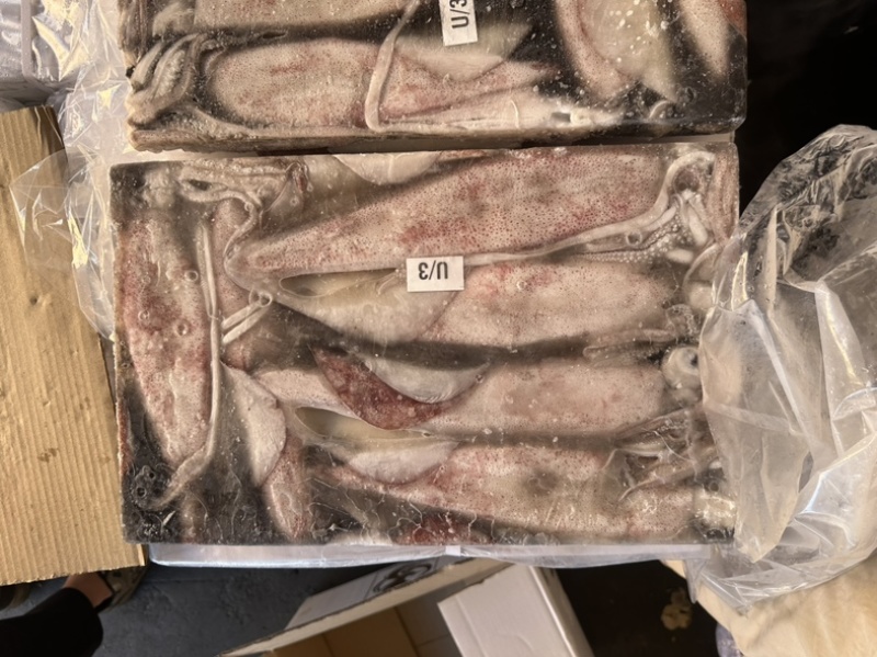 鱿鱼正鱿厚肉鱿鱼3/66/103/U路冻