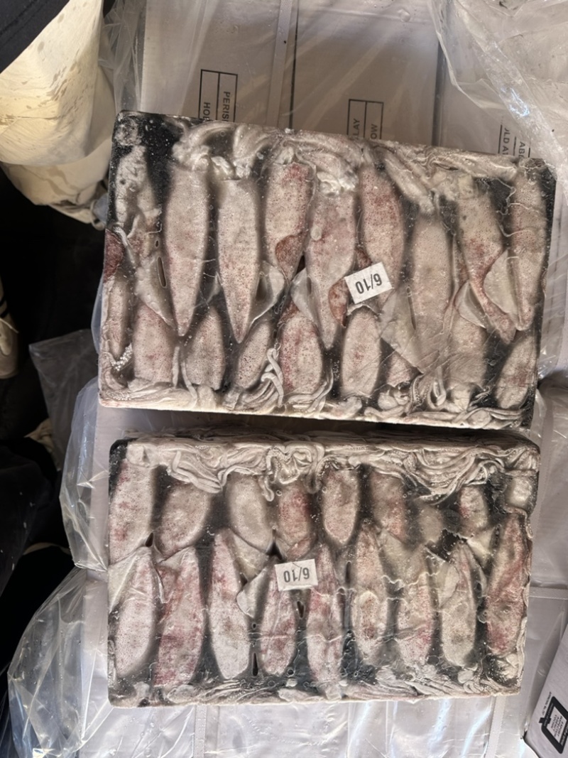 鱿鱼正鱿厚肉鱿鱼3/66/103/U路冻