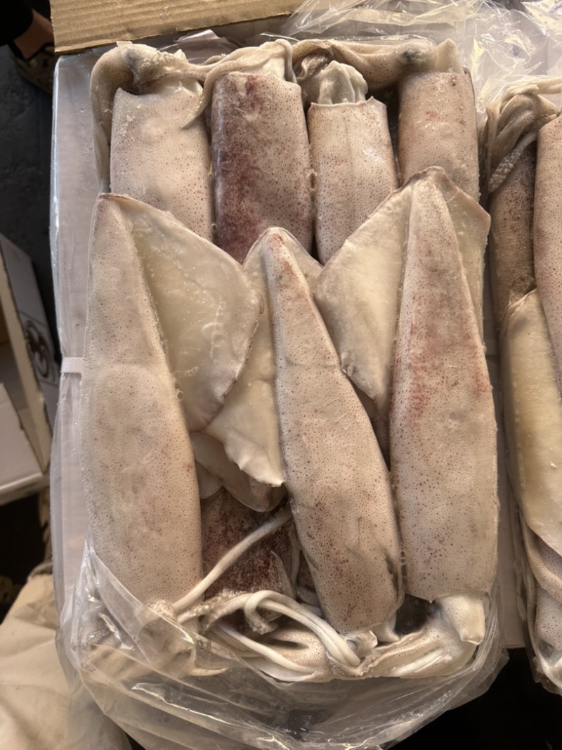 鱿鱼正鱿厚肉鱿鱼3/66/103/U路冻