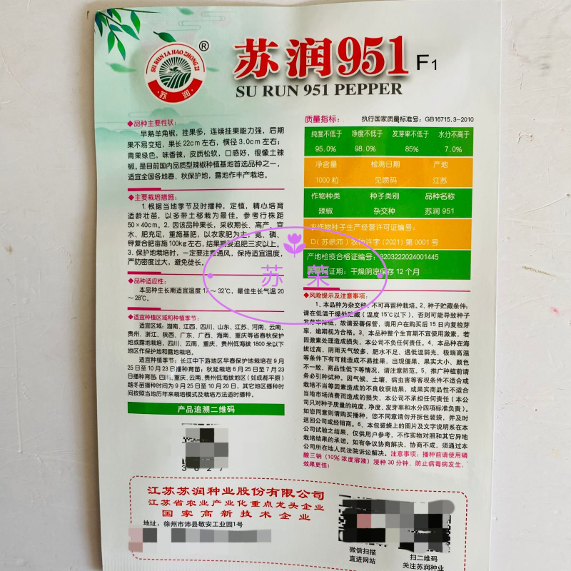 苏润951羊角椒辣椒种子早熟香辣皮质松软口感好挂果多