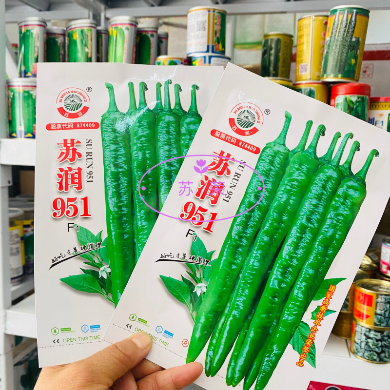 苏润951羊角椒辣椒种子早熟香辣皮质松软口感好挂果多