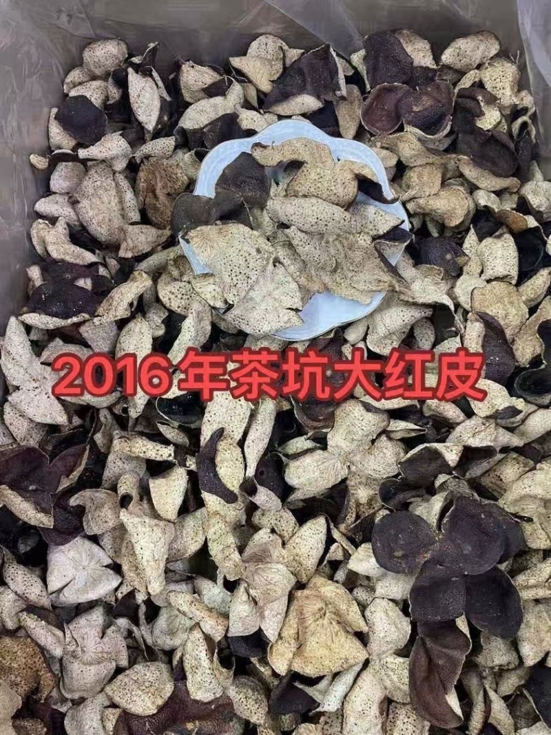 新会2016年天马茶坑老树皮
