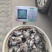 牛鱼马面鱼