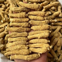 加拿3克二面西洋参