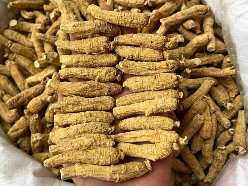 加拿3克二面西洋参