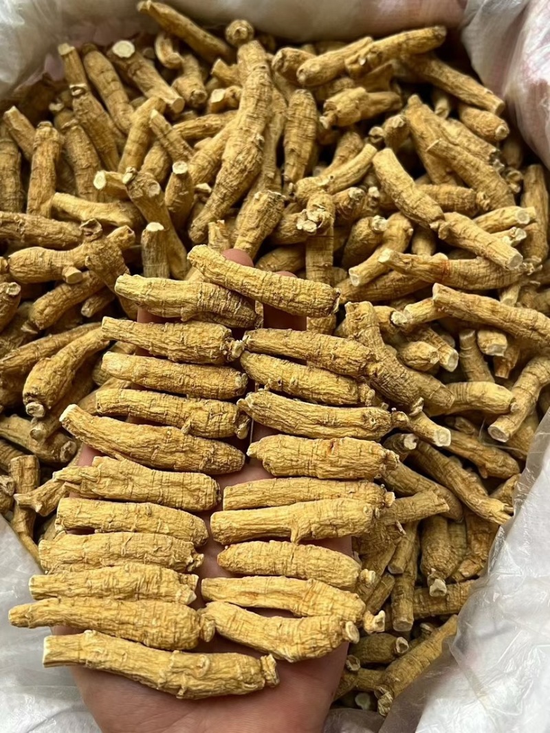 加拿3克二面西洋参