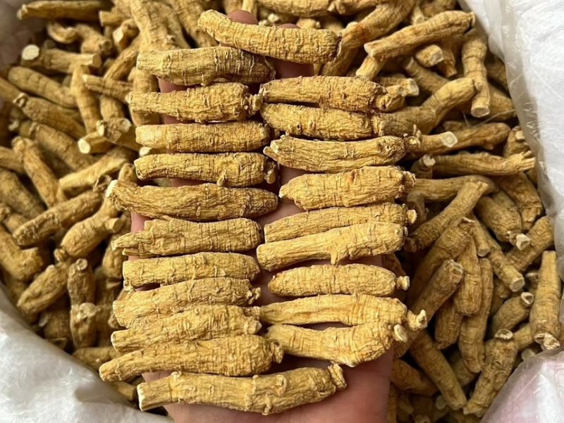 加拿3克二面西洋参
