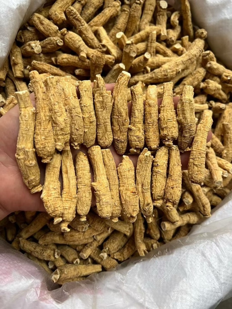 加拿3克二面西洋参