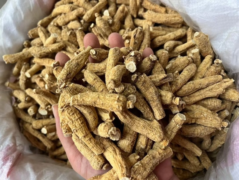 加拿3克二面西洋参