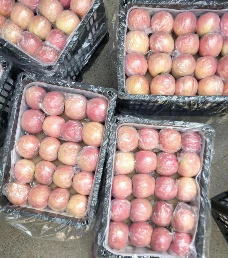 山西高原红富士，皮薄水多9分甜1分酸