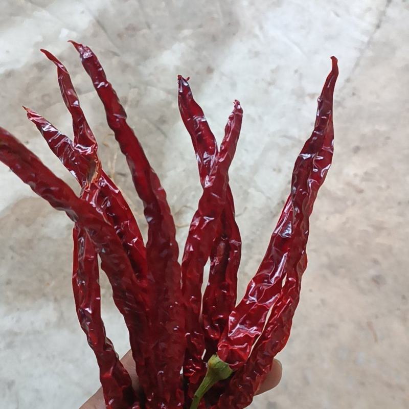 精品二荆条干货