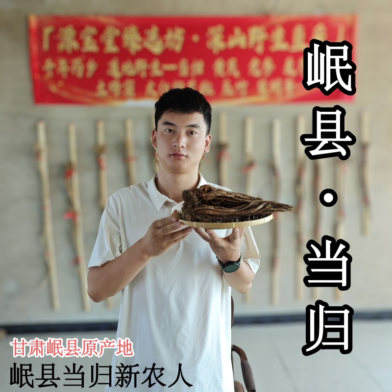 岷县当归