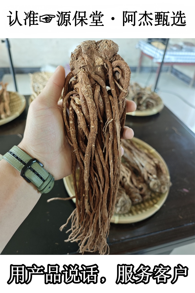 岷县当归