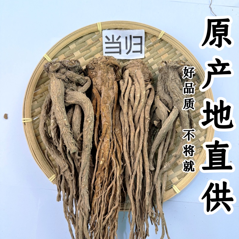 岷县当归
