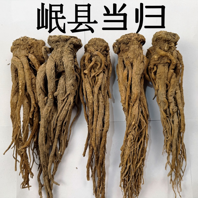 岷县当归