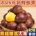山东优质电商板栗/品质好/价格低/全国代发/欢迎来电咨询