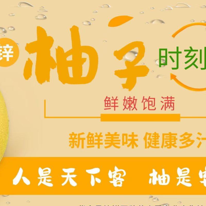 广东梅州蜜柚