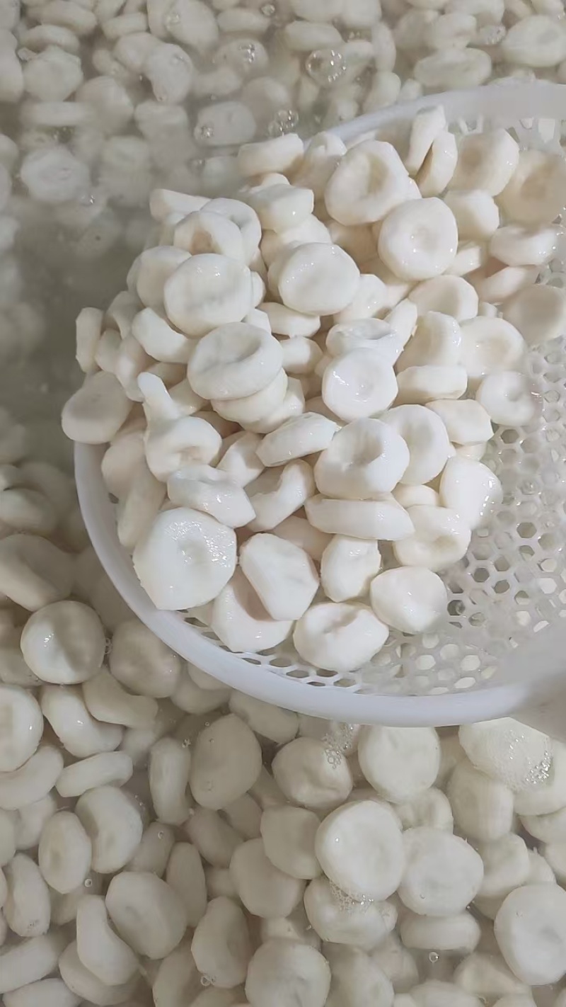 精品去皮马蹄产地批发量大从优货源稳定质量有保障