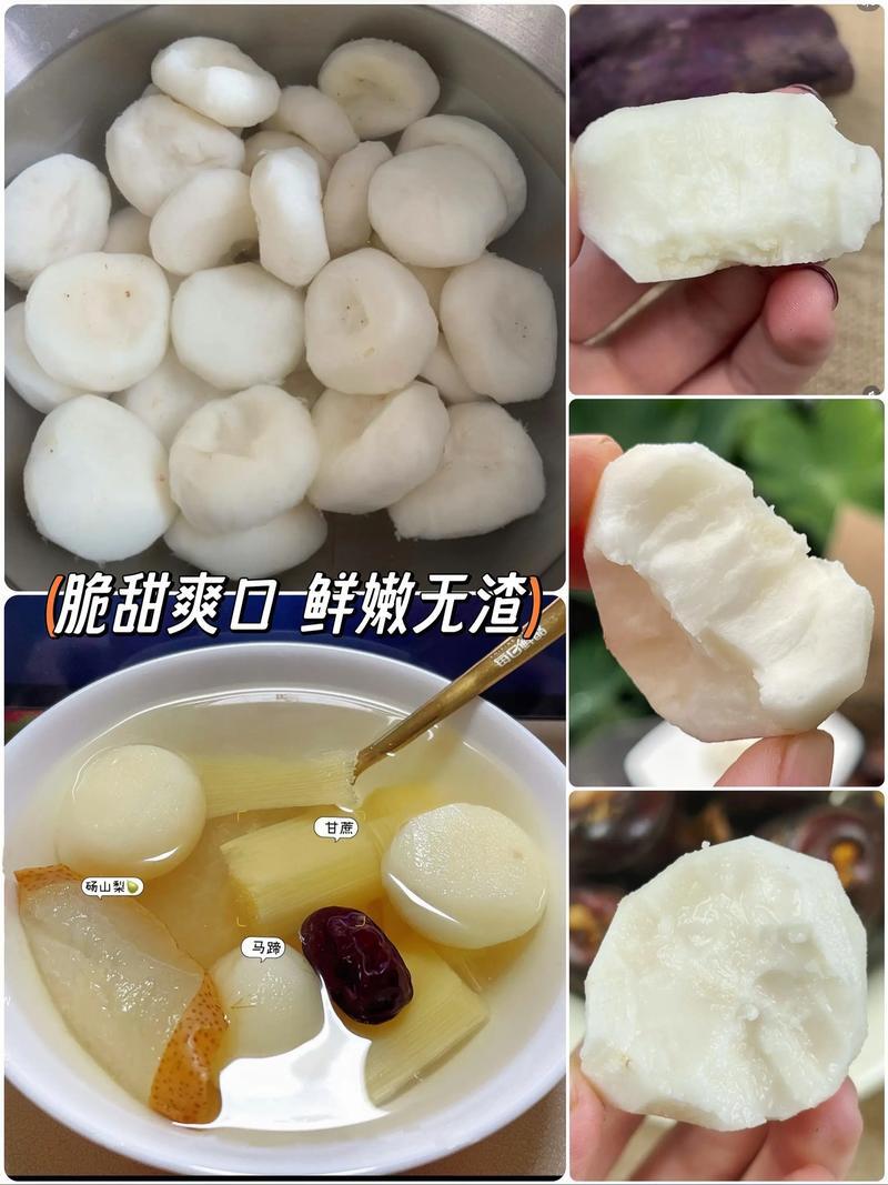 精品去皮马蹄产地批发量大从优货源稳定质量有保障