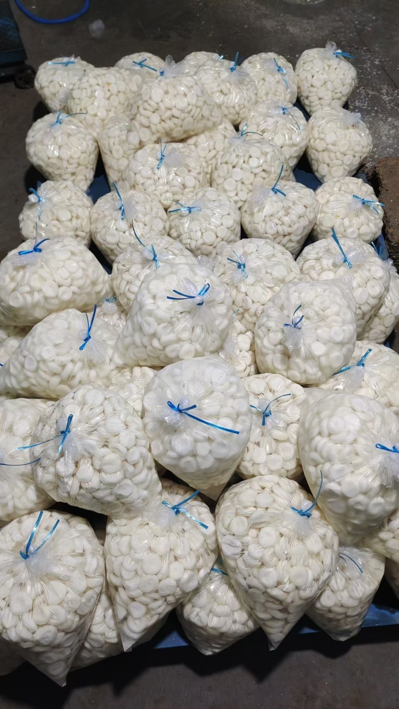 精品去皮马蹄日供20吨货源稳定对接商超工厂批发档口