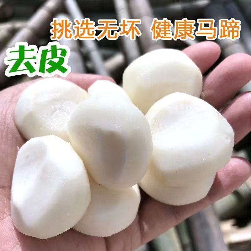 精品去皮马蹄日供20吨货源稳定对接商超工厂批发档口