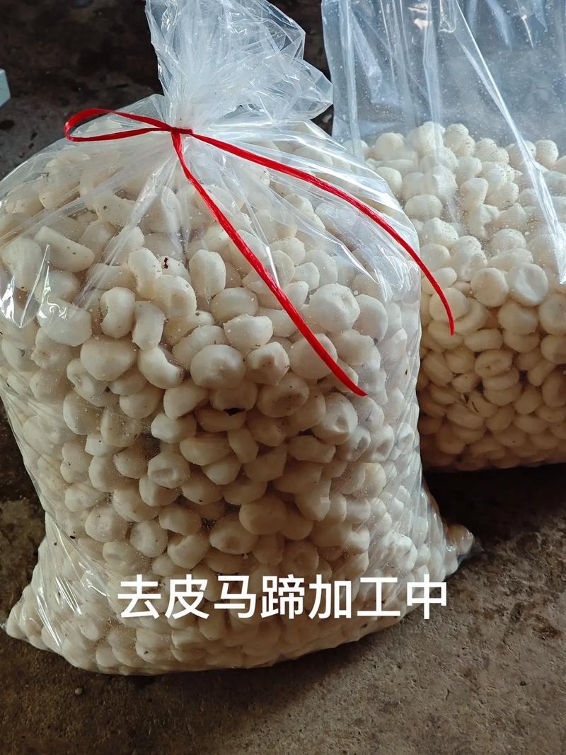 精品去皮马蹄日供20吨货源稳定对接商超工厂批发档口