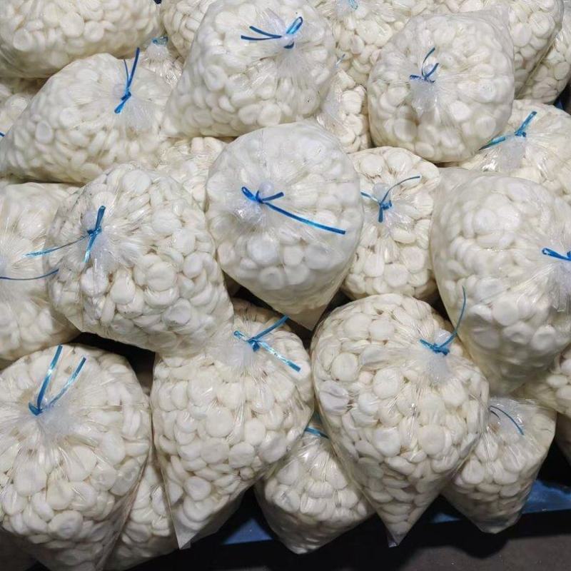 精品去皮马蹄日供20吨货源稳定对接商超工厂批发档口