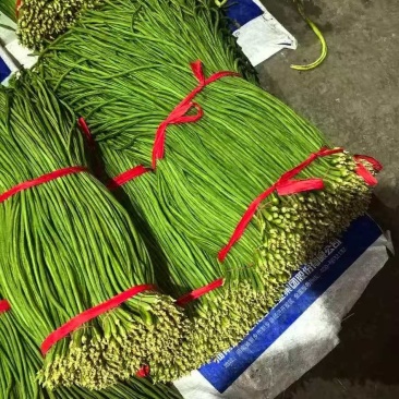 长豆角.豇豆细条