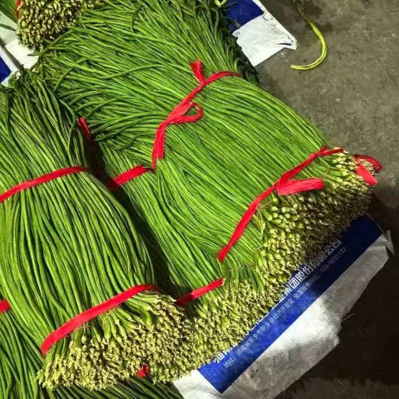 长豆角.豇豆细条