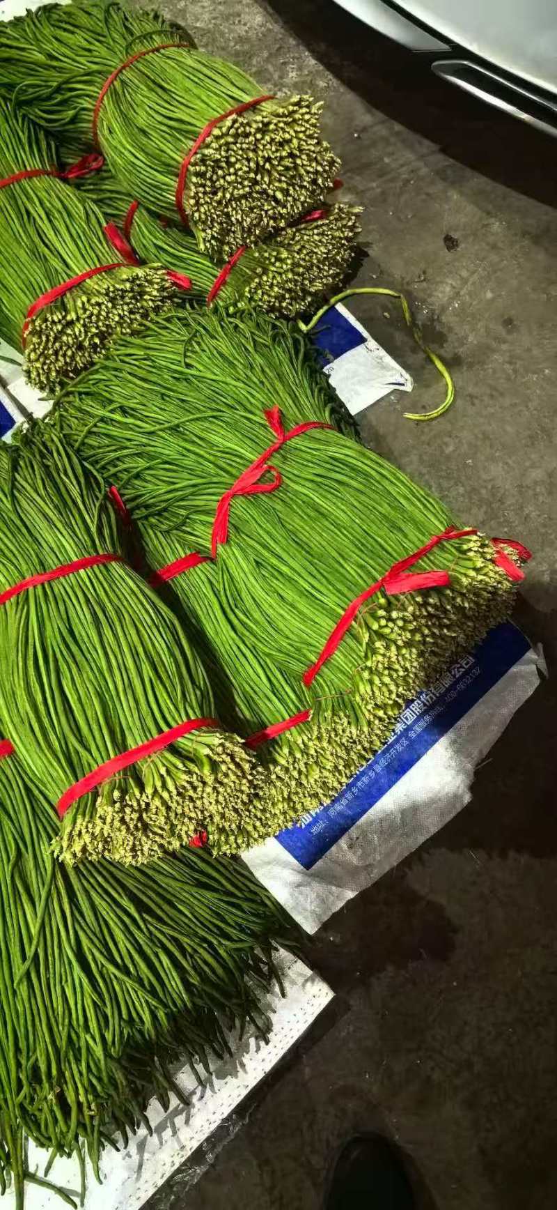 长豆角.豇豆细条