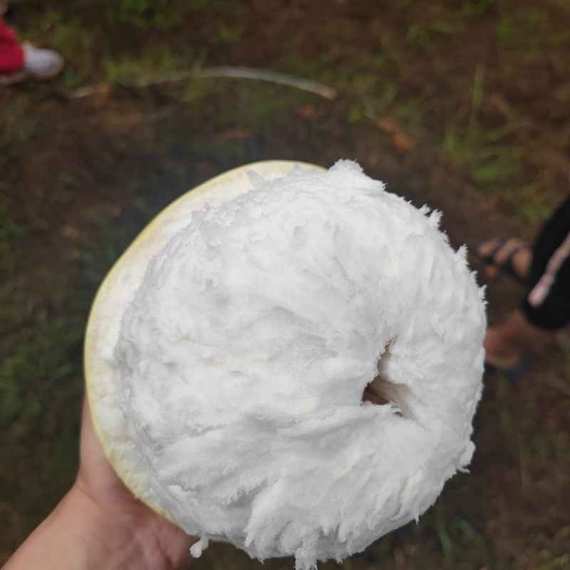 梅县纯正白心蜜柚，口感爽脆纯甜无酸，皮薄多汁，可大量供应