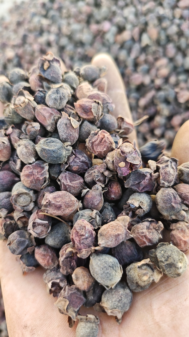 新出捻子干！源头直销！！！
