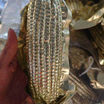 东北黄糯玉米