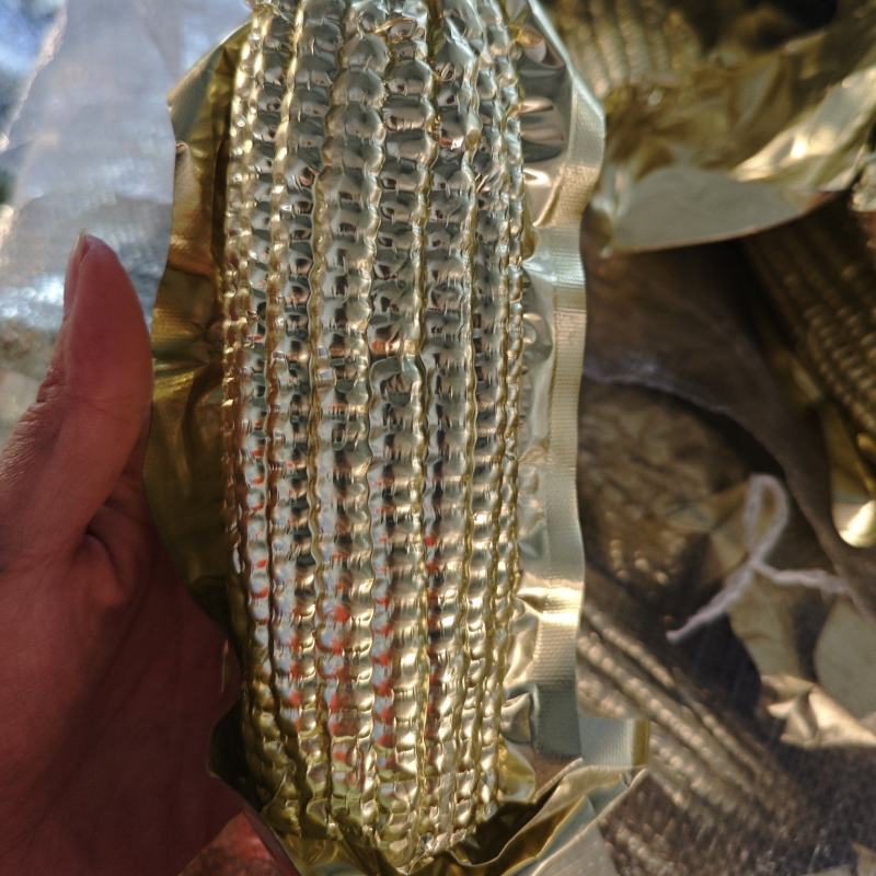 东北黄糯玉米