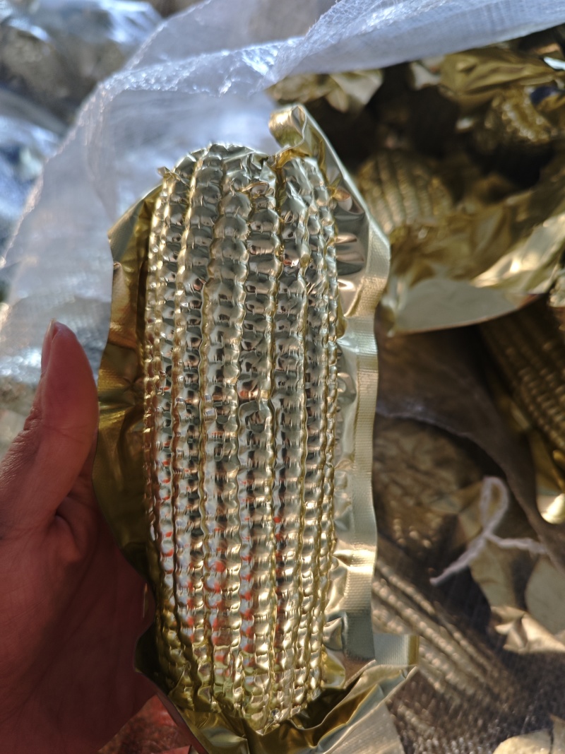 东北黄糯玉米