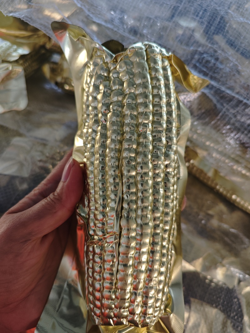 东北黄糯玉米