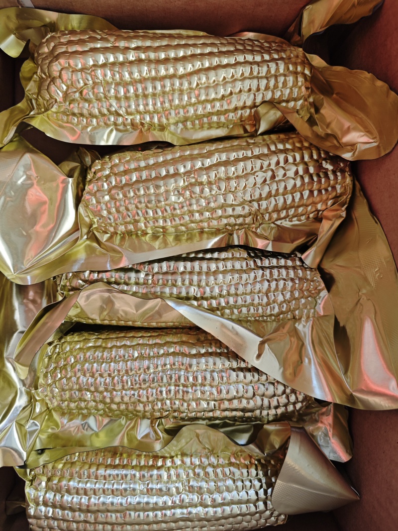 东北黄糯玉米