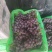 河北巨峰葡萄大量上市，每天有现货大量现货供应中！