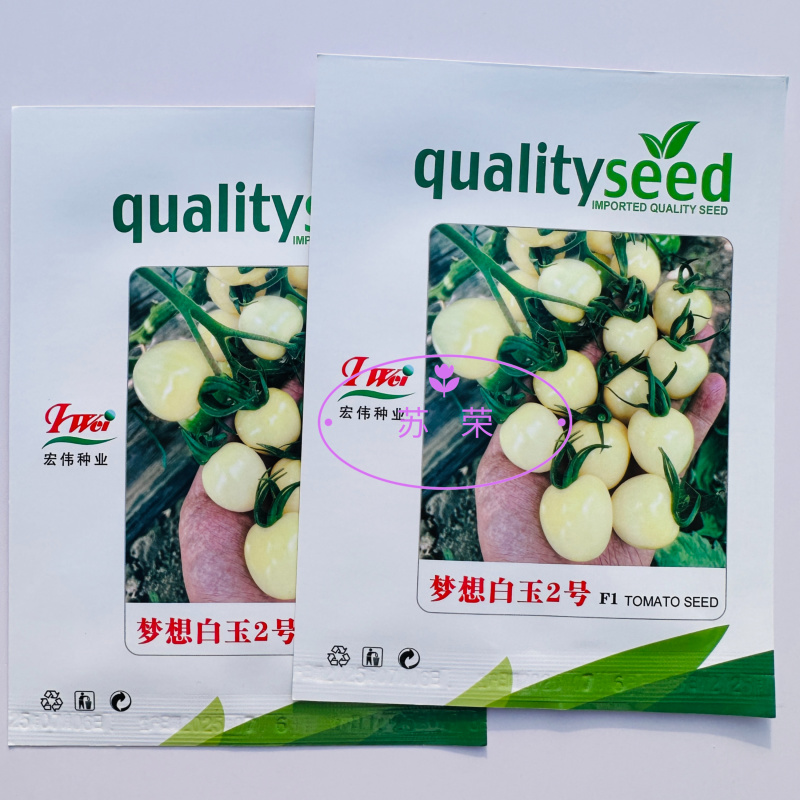 梦想白玉2号樱桃小番茄种子白色小番茄种苗口感好奶白小番茄