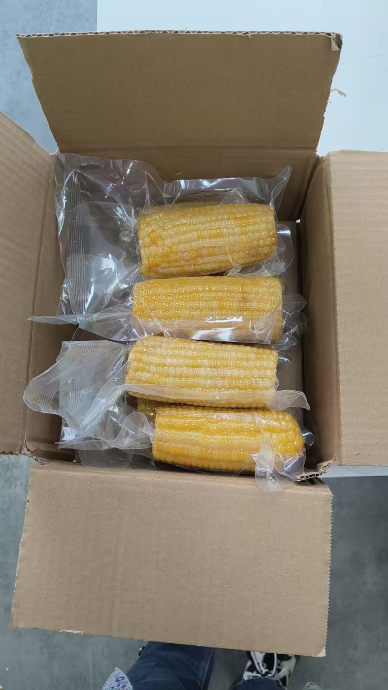 黄糯玉米可一件代发集采