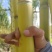 云南黄金甘蔗，保证质量，希望与您合作