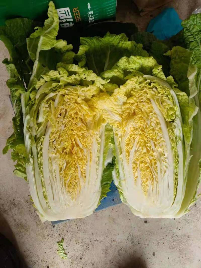白菜