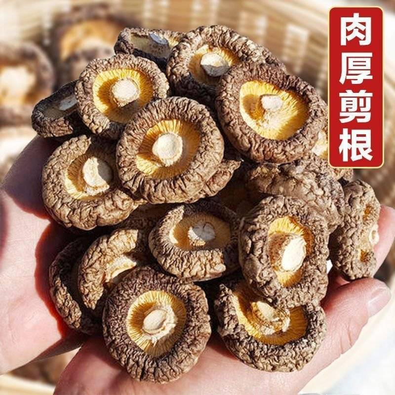 河南干香菇干货批发金钱菇可供商超展会电商一件代发冬菇批发