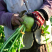 《畅销》吉林芥菜头芥菜疙瘩基地直发价格美丽量大从优