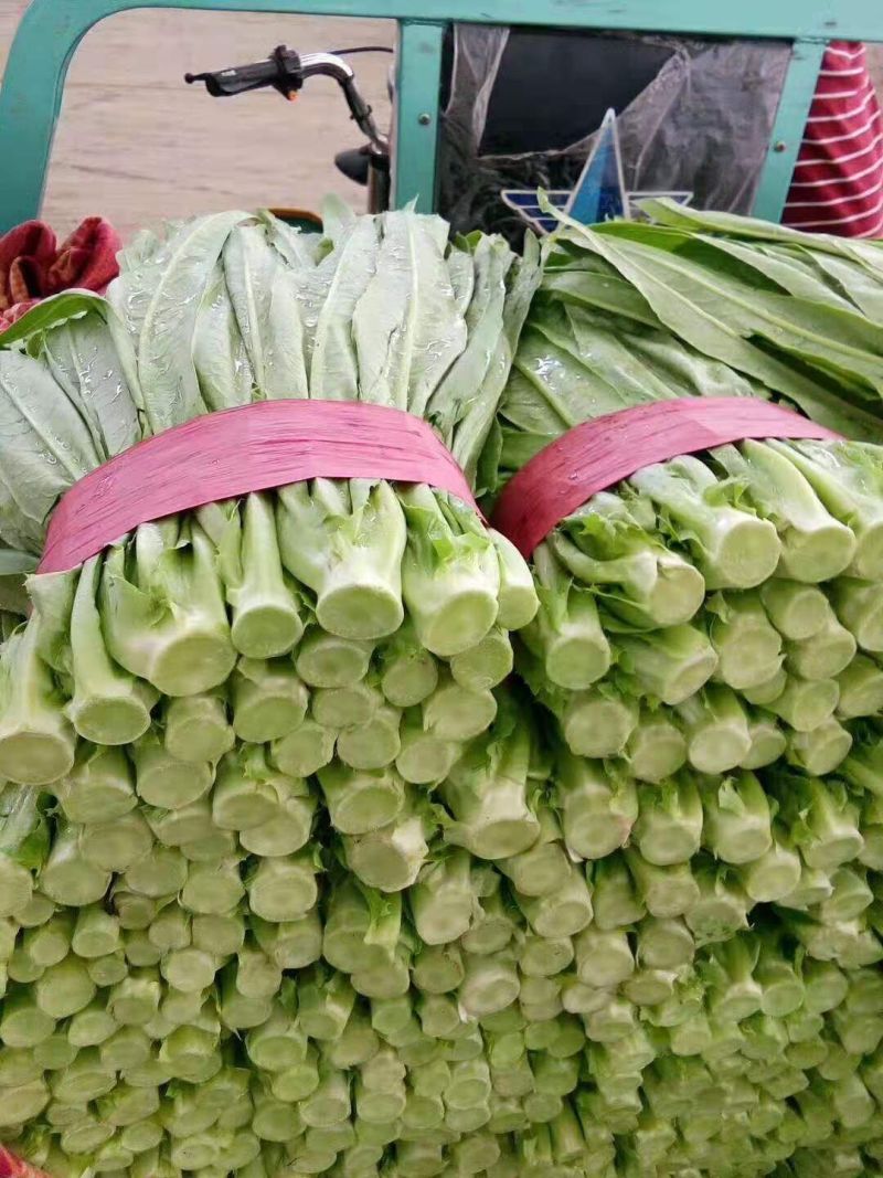 油麦菜