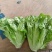 意大利生菜