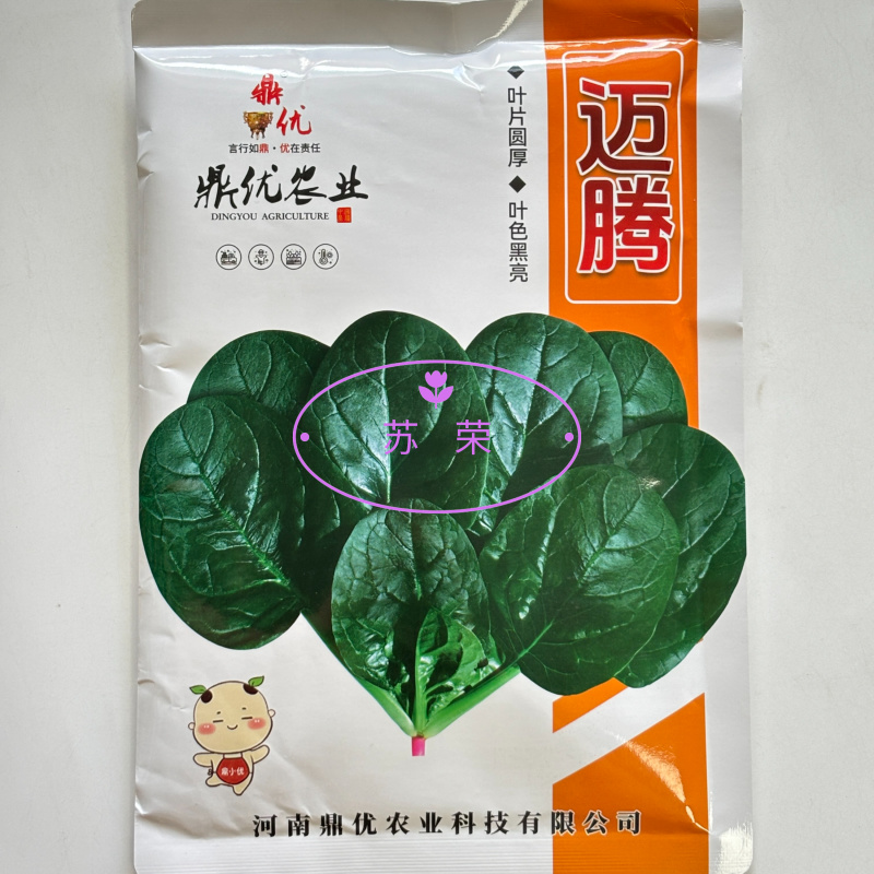 鼎优迈腾圆叶菠菜种子叶片圆厚叶色黑亮叶肉肥厚商品性好